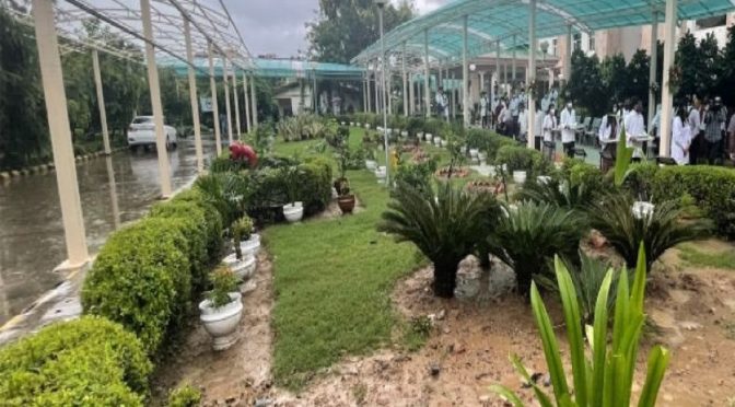 Ayurveda Nutri Garden