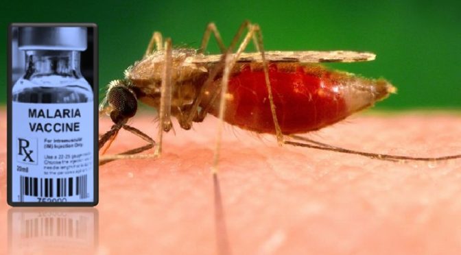 Malaria vaccine