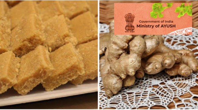 Ginger burfi recipe Ayush ministry