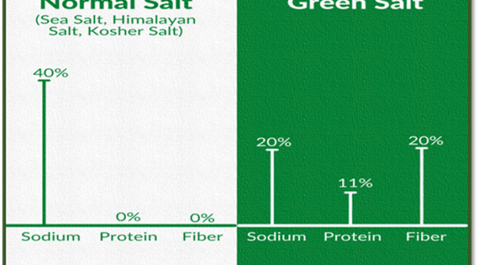 Tastes and Ingredients of Salicornia salt