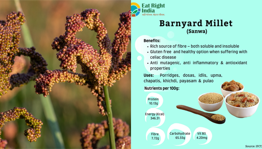 Barnyard millet