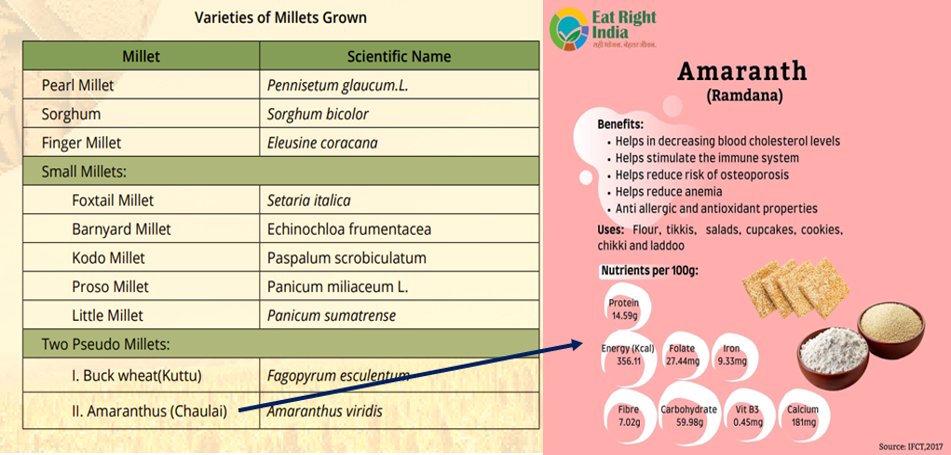 Few examples of millets grown in India and Asian countries