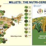 International year of Millets