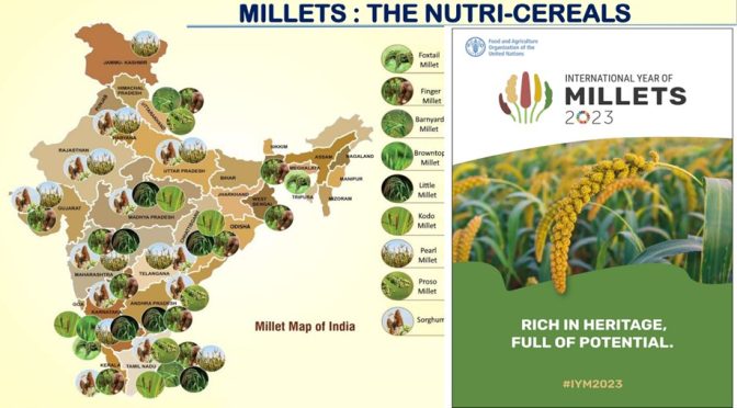 International year of Millets