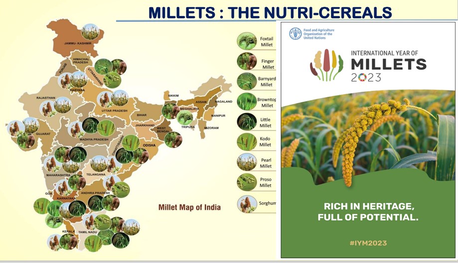 International year of Millets