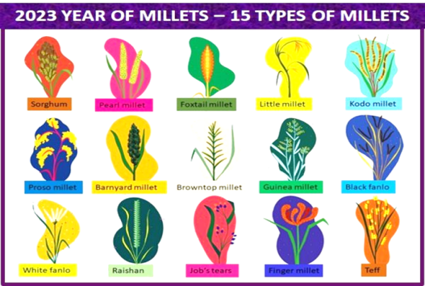 Multiple Benefits of Millets