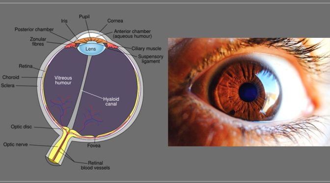 Retinal detachment