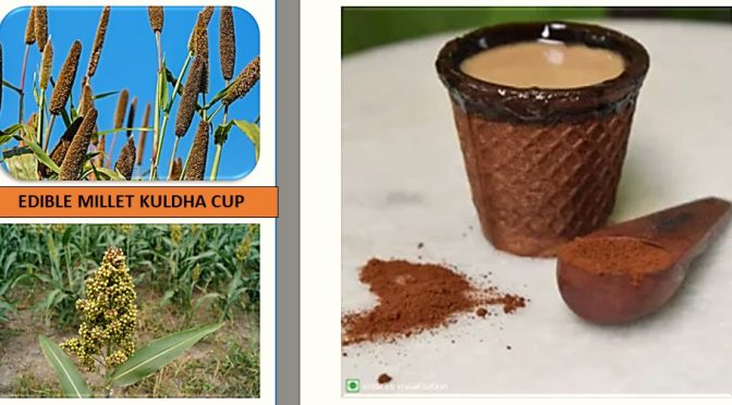 Edible Millet kuldha cup