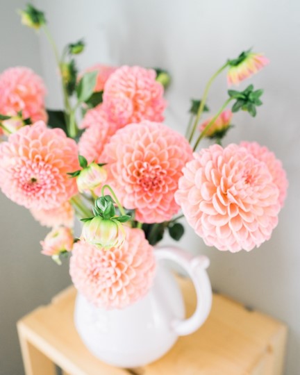 Fresh floral bouquet tips