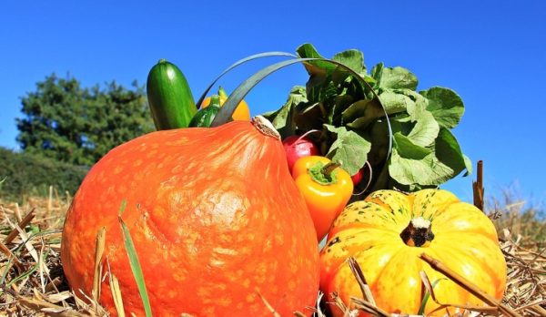 Organic food benefits
