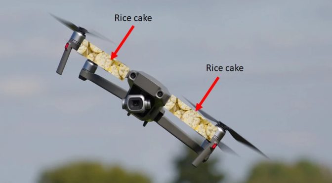 Edible Drones