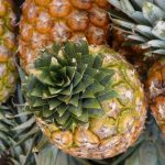Pineapple from Meghalaya