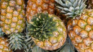 Pineapple from Meghalaya