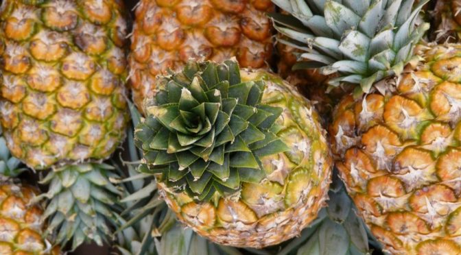 Pineapple from Meghalaya