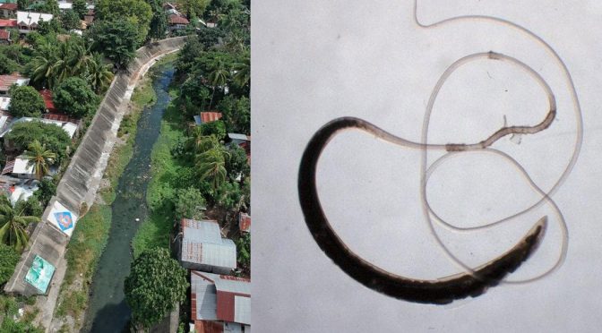 Poor sanitation and Whipworm infection