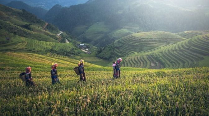 Women in Agriculture in India