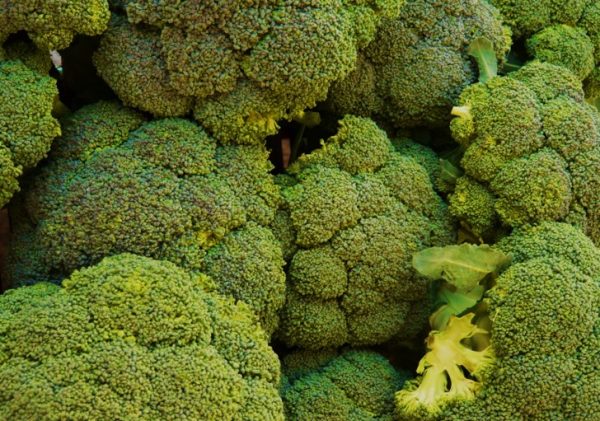 Broccoli to prevent stroke