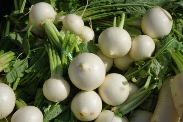 Turnip benefits
