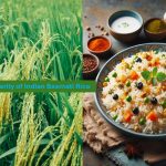 Basmati rice popularity