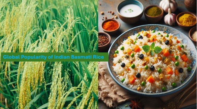 Basmati rice popularity