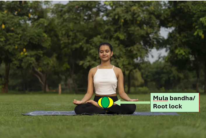 Mula Bandha Root Lock