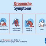 Oropuche virus outbreak