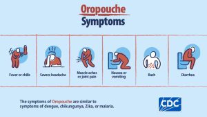 Oropuche virus outbreak