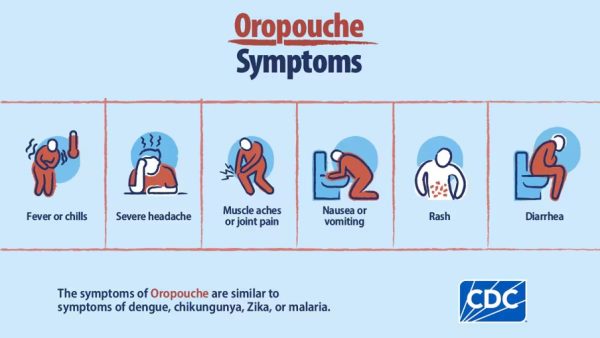 Oropuche virus outbreak