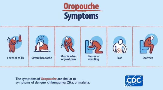 Oropuche virus outbreak