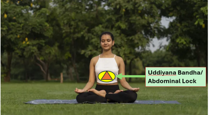 Uddiyana Bandha Abdominal Lock