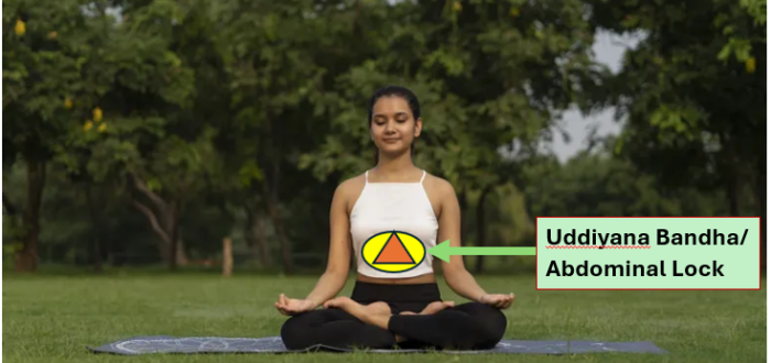 Uddiyana Bandha Abdominal Lock