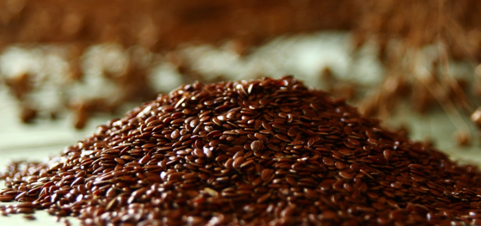 Flaxseeds Are Rich Source of Omega 3 Fatty Acids