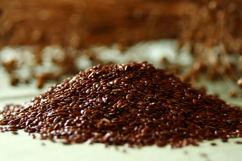 Flaxseeds Are Rich Source of Omega 3 Fatty Acids