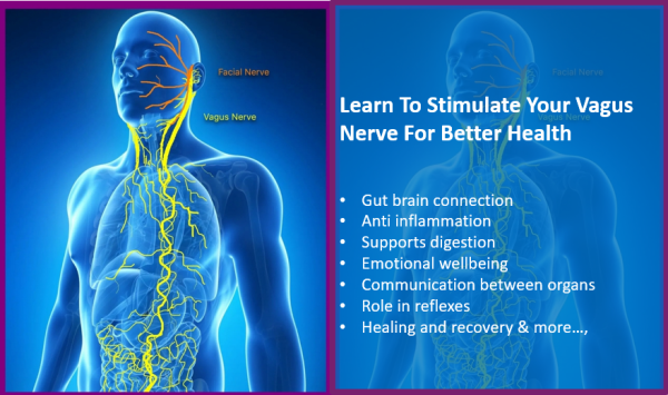 Keep Vagus Nerve Happy And Healthy For Better Mental And Physical Health