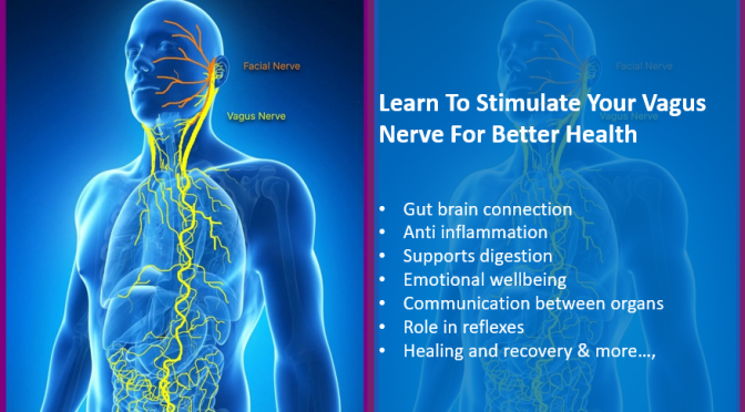 Keep Vagus Nerve Happy And Healthy For Better Mental And Physical Health