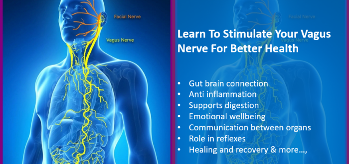 Keep Vagus Nerve Happy And Healthy For Better Mental And Physical Health