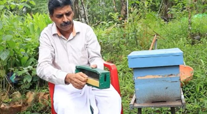 Madhukeshwara Hegde beekeeping