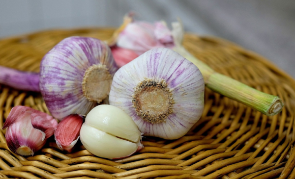 Prebiotics: When to Eat Them?