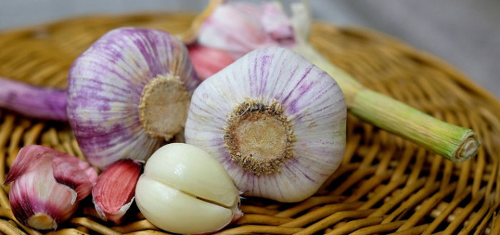 Prebiotics: When to Eat Them?