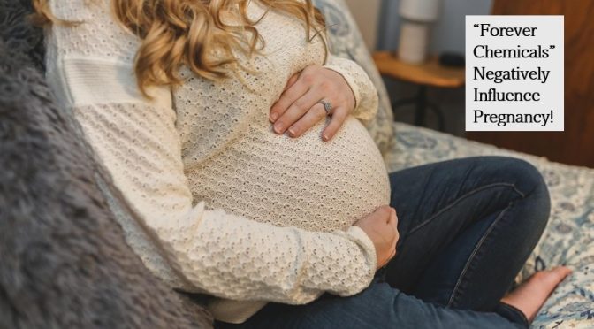 Forever chemicals and pregnancy
