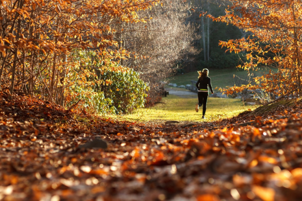 Managing Skin Condition In Fall Season