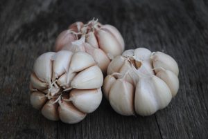 Garlic