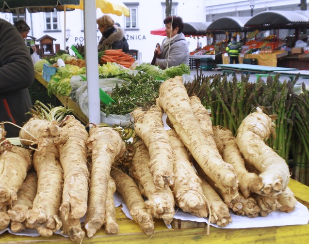 Horseradish