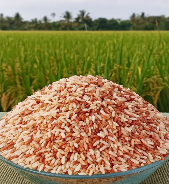 Rajamudi red rice