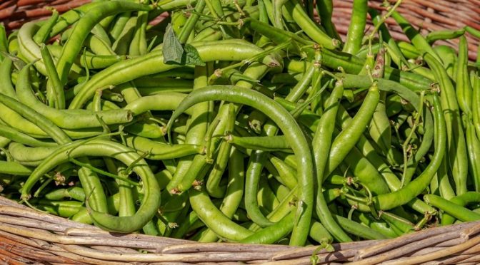 Isha Singal chemical free living