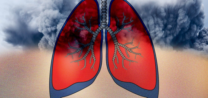 Asthma -Triggers, Prevention, Lifestyle And Tips To Use Inhalers