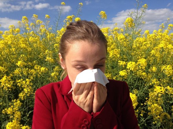 Climate change and allergy