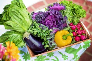 Why and how do plant-based foods lower dementia risk?