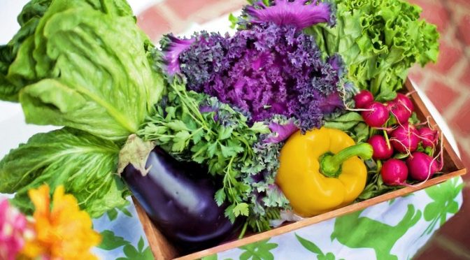 Why and how do plant-based foods lower dementia risk?