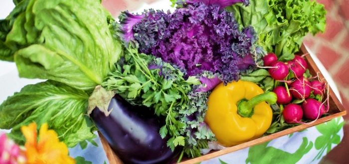 Why and how do plant-based foods lower dementia risk?